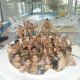 DSC00558