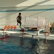 DSC00480